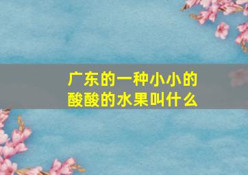 广东的一种小小的酸酸的水果叫什么