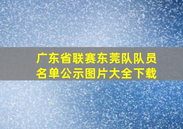 广东省联赛东莞队队员名单公示图片大全下载