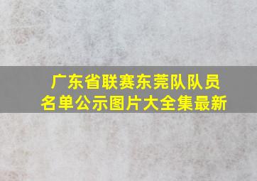 广东省联赛东莞队队员名单公示图片大全集最新