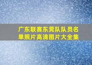 广东联赛东莞队队员名单照片高清图片大全集