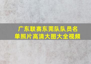 广东联赛东莞队队员名单照片高清大图大全视频