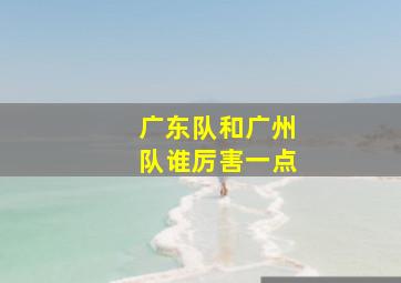 广东队和广州队谁厉害一点