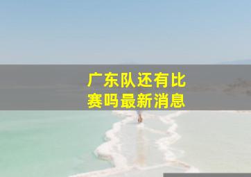 广东队还有比赛吗最新消息