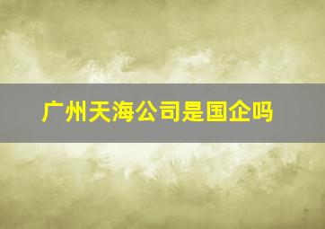 广州天海公司是国企吗