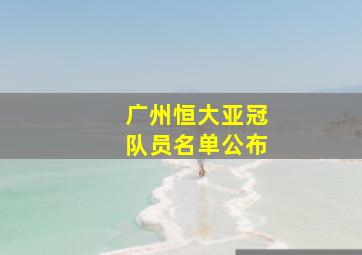 广州恒大亚冠队员名单公布