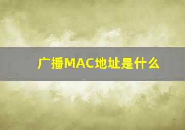 广播MAC地址是什么