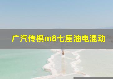 广汽传祺m8七座油电混动