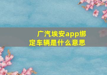 广汽埃安app绑定车辆是什么意思