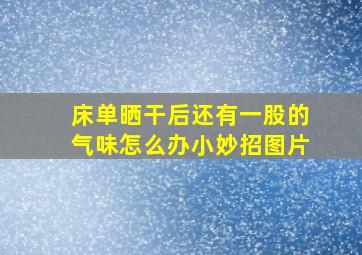 床单晒干后还有一股的气味怎么办小妙招图片