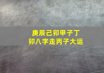 庚辰己卯甲子丁卯八字走丙子大运