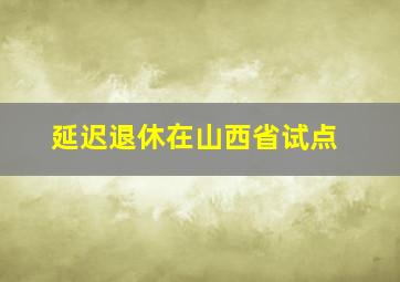 延迟退休在山西省试点