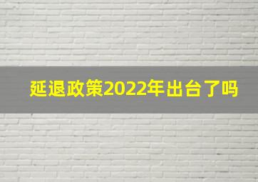 延退政策2022年出台了吗