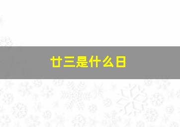 廿三是什么日