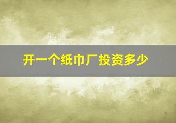 开一个纸巾厂投资多少