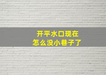 开平水口现在怎么没小巷子了