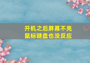 开机之后屏幕不亮鼠标键盘也没反应