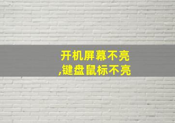 开机屏幕不亮,键盘鼠标不亮