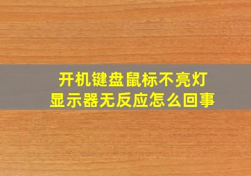 开机键盘鼠标不亮灯显示器无反应怎么回事