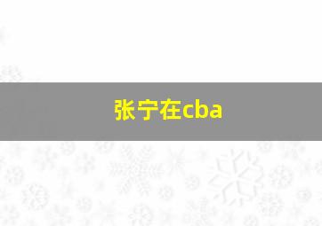 张宁在cba