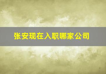 张安现在入职哪家公司