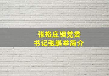 张格庄镇党委书记张鹏举简介