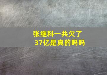 张继科一共欠了37亿是真的吗吗