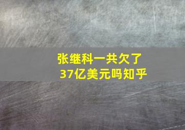 张继科一共欠了37亿美元吗知乎