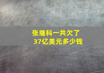 张继科一共欠了37亿美元多少钱