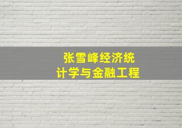 张雪峰经济统计学与金融工程