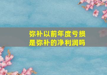 弥补以前年度亏损是弥补的净利润吗