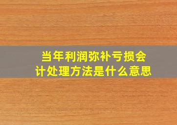 当年利润弥补亏损会计处理方法是什么意思