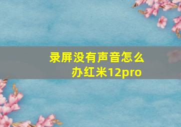 录屏没有声音怎么办红米12pro