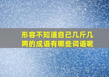 形容不知道自己几斤几两的成语有哪些词语呢