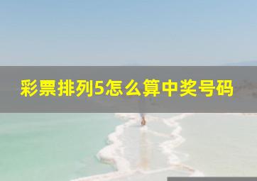 彩票排列5怎么算中奖号码