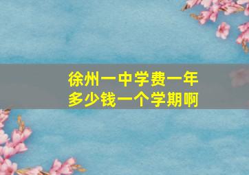 徐州一中学费一年多少钱一个学期啊