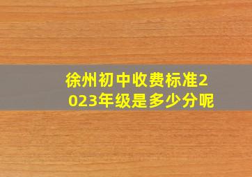 徐州初中收费标准2023年级是多少分呢