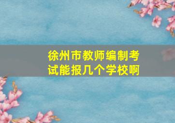 徐州市教师编制考试能报几个学校啊