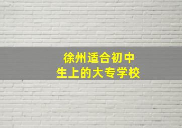 徐州适合初中生上的大专学校