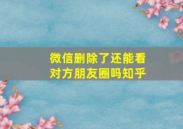 微信删除了还能看对方朋友圈吗知乎