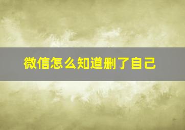 微信怎么知道删了自己