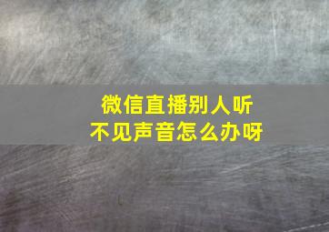 微信直播别人听不见声音怎么办呀