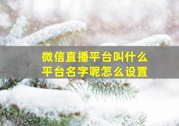 微信直播平台叫什么平台名字呢怎么设置