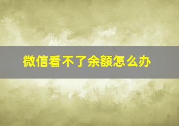 微信看不了余额怎么办