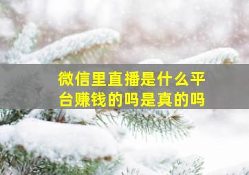 微信里直播是什么平台赚钱的吗是真的吗