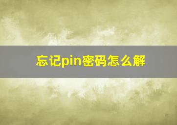 忘记pin密码怎么解