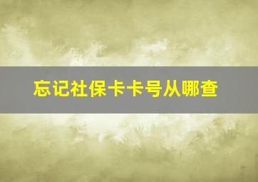 忘记社保卡卡号从哪查