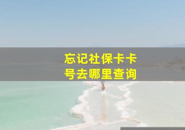 忘记社保卡卡号去哪里查询