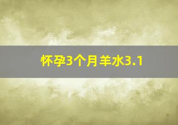 怀孕3个月羊水3.1