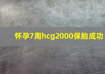 怀孕7周hcg2000保胎成功