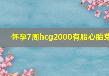 怀孕7周hcg2000有胎心胎芽